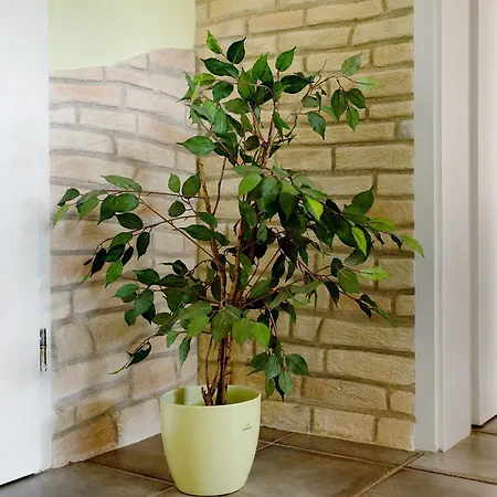 Ado Apartment Grafenhausen